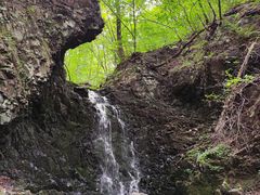 -关门山森林公园