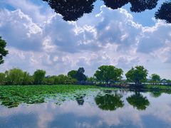 -无锡蠡湖国家湿地公园-蠡园