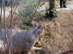 -祥源·阜阳生态乐园