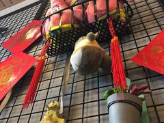 大堂-犀牛家猪排