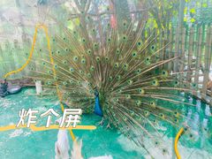 -白鹿原·白鹿仓