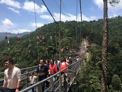 -九龙江国家森林公园