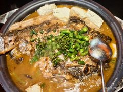 鲜青椒香香香菜烤鱼-探鱼·鲜青椒爽麻烤鱼(广州欣荣广场店)