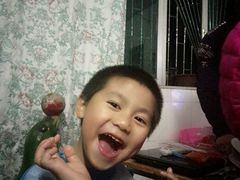 -广东茂名森林公园