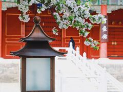 -故宫博物院(故宫)