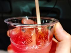 -新加坡航空公司(ION)