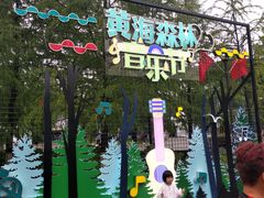 -黄海国家森林公园