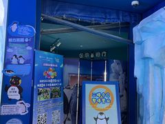 -上海海昌海洋公园