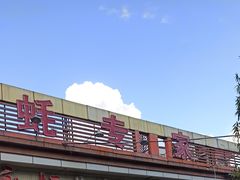-蚝专家