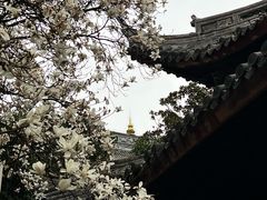 -龙华寺