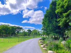 -上海长兴岛郊野公园