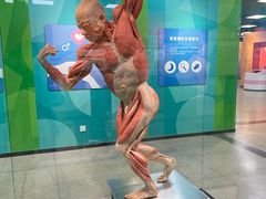 -国家自然博物馆