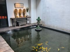 -觀芷隐轩