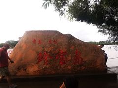-珍宝岛