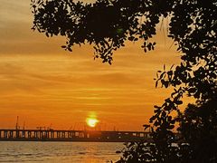 -宝安西湾红树林湿地公园