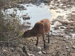 -崇阳三特浪口温泉