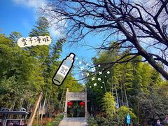-紫金山山顶公园