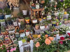 -循礼门鲜花花市(武汉循礼门店)