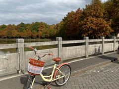 -上海海湾国家森林公园