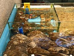 -瓯菜排档·温州海鲜(玕南店)