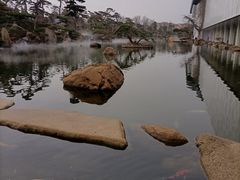 -罗红摄影艺术馆