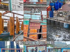 -南丫岛