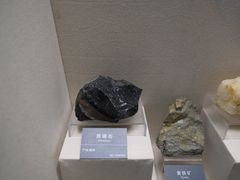 -安徽省地质博物馆