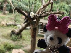 -宁波野生动物园