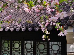 -莫愁湖公园