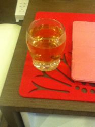 花草茶-绘甲社NACHO&DAI SALON