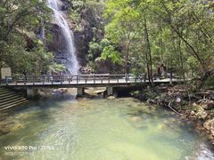 -九龙江国家森林公园