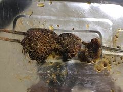 -明月食府(二区干二路店)