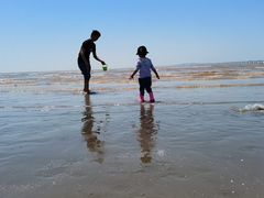 -南汇嘴观海公园