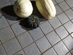 -SHUBO蔬小盒(三里屯店)