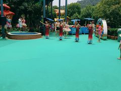 -苏州乐园森林水世界