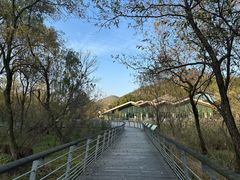 -西湖风景区-江洋畈生态公园