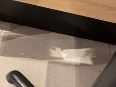 -食其家·牛丼咖喱(太阳宫店)