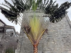 -沙美村
