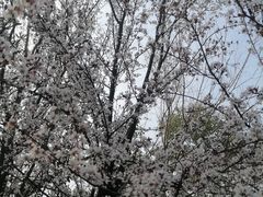 -艾溪湖湿地公园