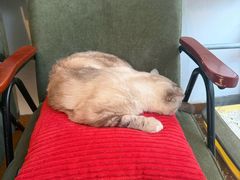 -雕刻时光·咖啡·酒吧·西餐(香山店)