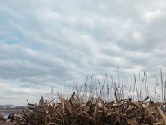 -星巴克(成都科学城店)