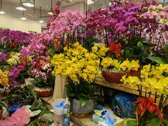 -双季花艺园艺市场(浦东店)