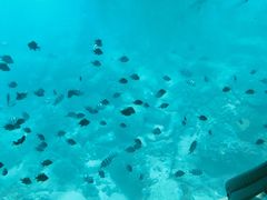 -亚龙湾海底世界