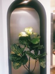 点击看大图 -Garden花園造型