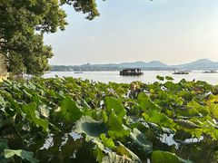 -湖畔居茶楼(湖滨店)