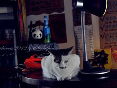 -小雅青年旅舍(平江路店)