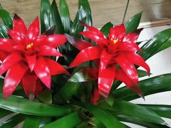 -三旗百汇商品城