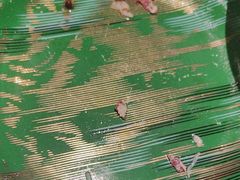 -宴周康·精致江浙菜(周浦店)