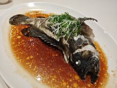 -東海海鲜酒家(中信广场店)