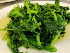 豌豆尖-江湖黑大兔(杨家坪店)